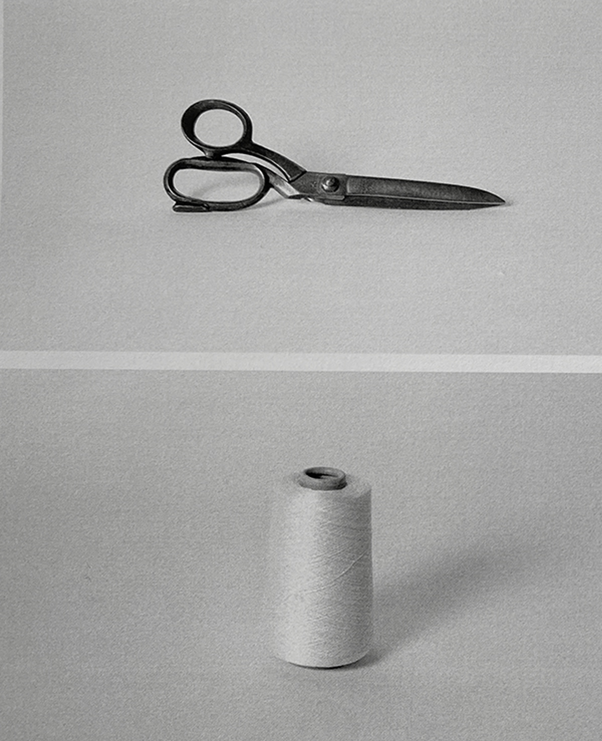 Italian Craftsmanship Documented by Ana Roque