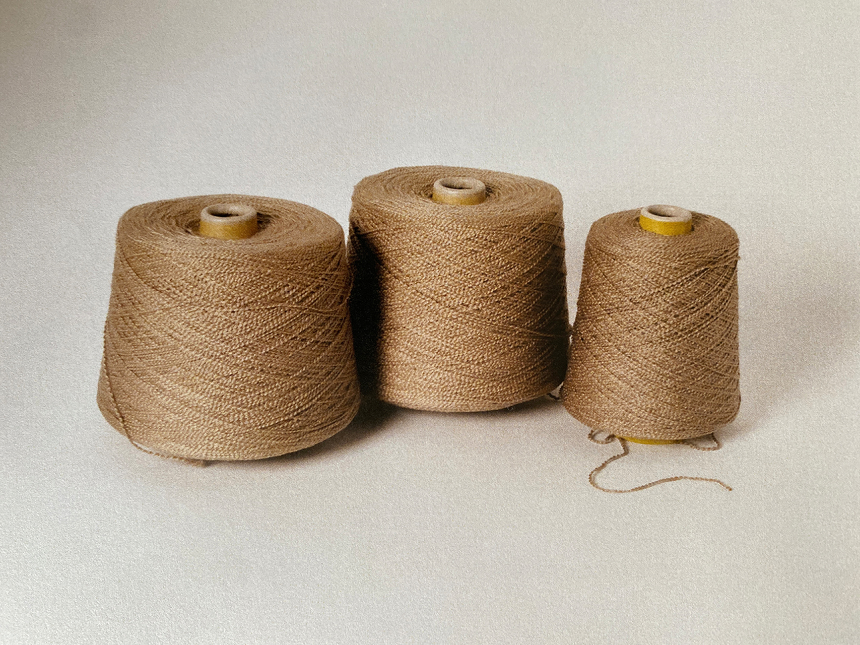 Italian Craftsmanship Documented by Ana Roque